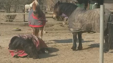 WhatsApp Image 2018-02-28 at 11.04.30